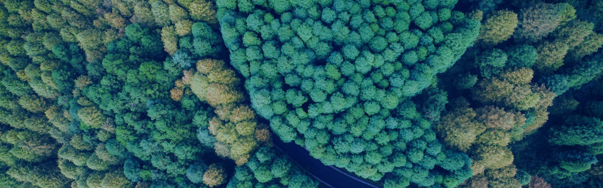 誠信為本，不忘初心